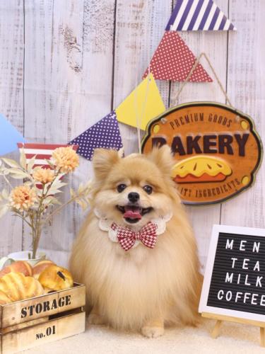 20240929梛都ちゃん